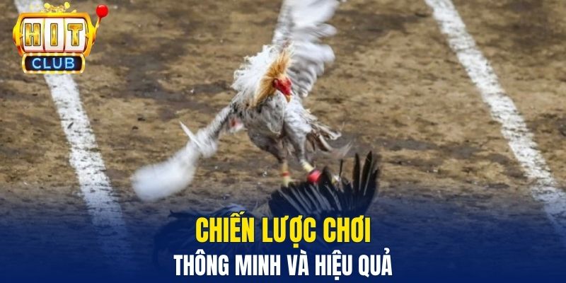 Đá Gà Hitclub – Sân Chơi Trực Tuyến Gay Cấn Và Hấp Dẫn Chiến lược chơi thông minh và hiệu quả