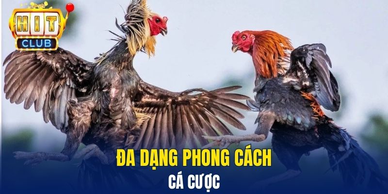 Đá Gà Hitclub – Sân Chơi Trực Tuyến Gay Cấn Và Hấp Dẫn Đa dạng phong cách cá cược